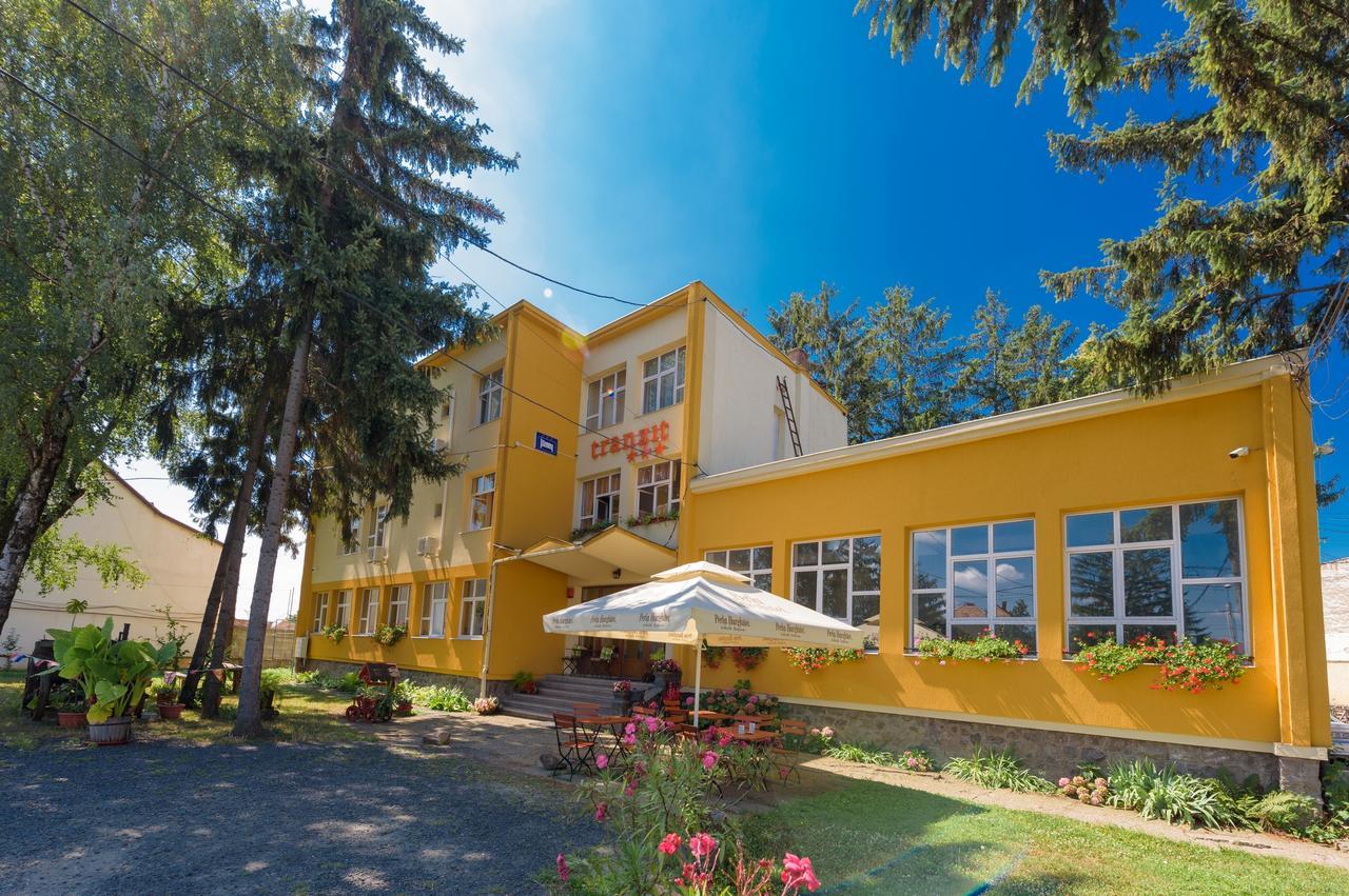 Pensiunea Tranzit Satu Mare Ngoại thất bức ảnh