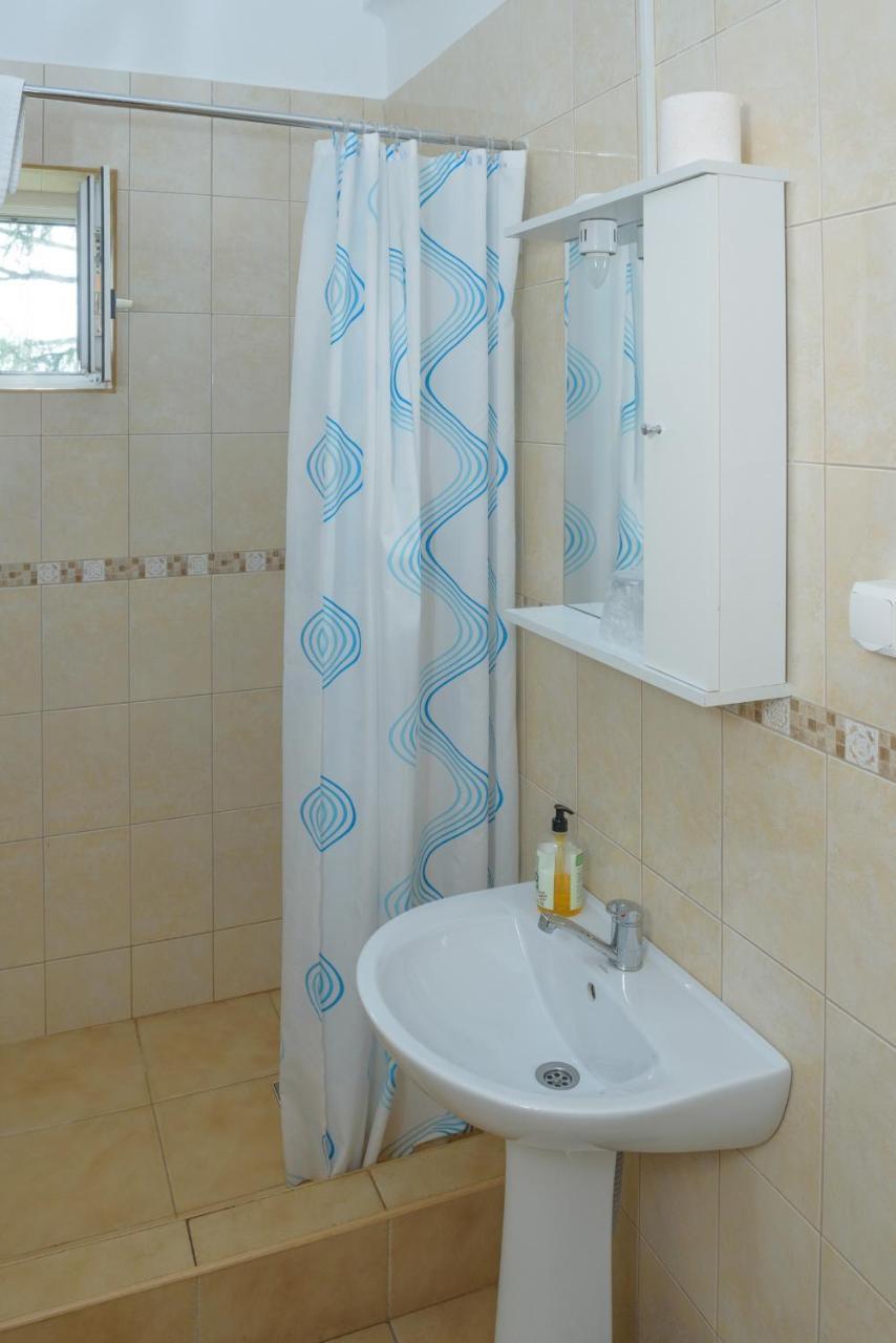 Pensiunea Tranzit Satu Mare Ngoại thất bức ảnh